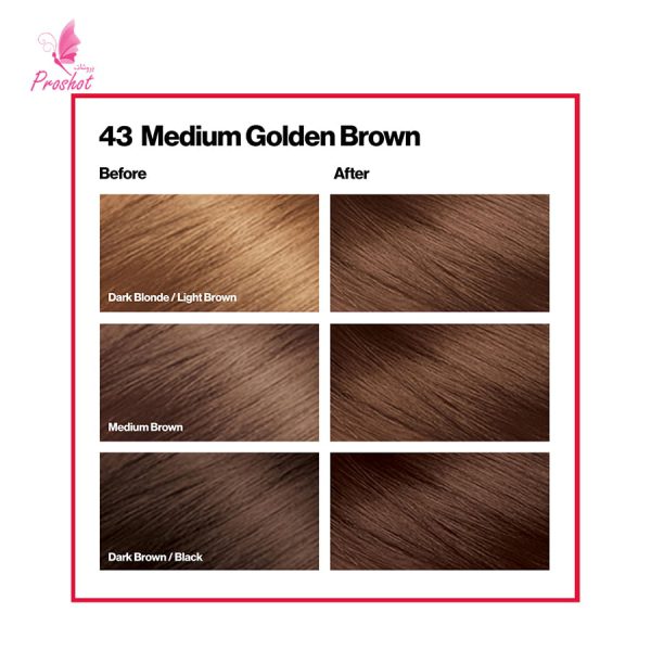 قیمت و خرید رنگ مو بدون آمونیاک رولون شماره 43 -1 Revlon Colorsilk Beautiful Hair Color