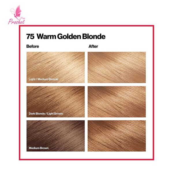 قیمت و خرید رنگ مو بدون آمونیاک رولون شماره75 -1 Revlon Colorsilk Beautiful Hair Color 3D