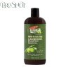 قیمت و خرید شامپو تمیز کننده و رطوبت رسان عمیق زیتون پالمرز Palmers Olive Oil Moisture Fill Cleansing Shampoo 473ml